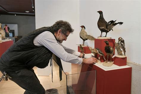 Le musée d'histoire naturelle de Ulm : un voyage passionnant à travers les merveilles du monde naturel !