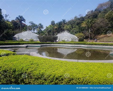  Le Jardin Botanique de São Paulo: Un Oasis verdoyant au coeur palpitant d'une mégalopole!