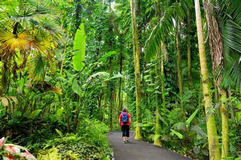 Le Jardin botanique de Xilong: Une oasis luxuriante et un refuge pour la biodiversité !