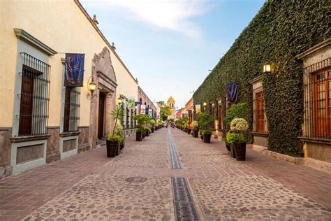  Le Musée de la Tequila: Une Découverte Inoubliable à Guadalajara !